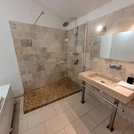 Luxueux Duplex Avec Vue Panoramique Sur Notre-dame Appartement *
